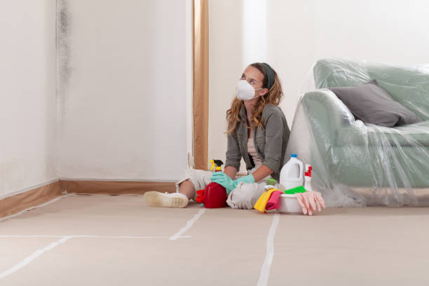 Reliable Black Mold Remediation contractor in Spring, TX by Mold Remediation HQ